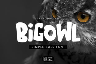 Big Owl: A Bold Font for Digital Design