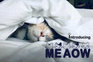 Meaow: The Font That Adds Personality to Every Craft Project